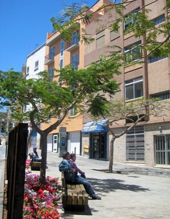 S/C De Tenerife, Apartamento 1 Dormitorio Santa Cruz de Tenerife Eksteriør billede